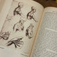 Leonardo Da Vinci: The Tragic Pursuit of Perfection – Antonia Vallentin