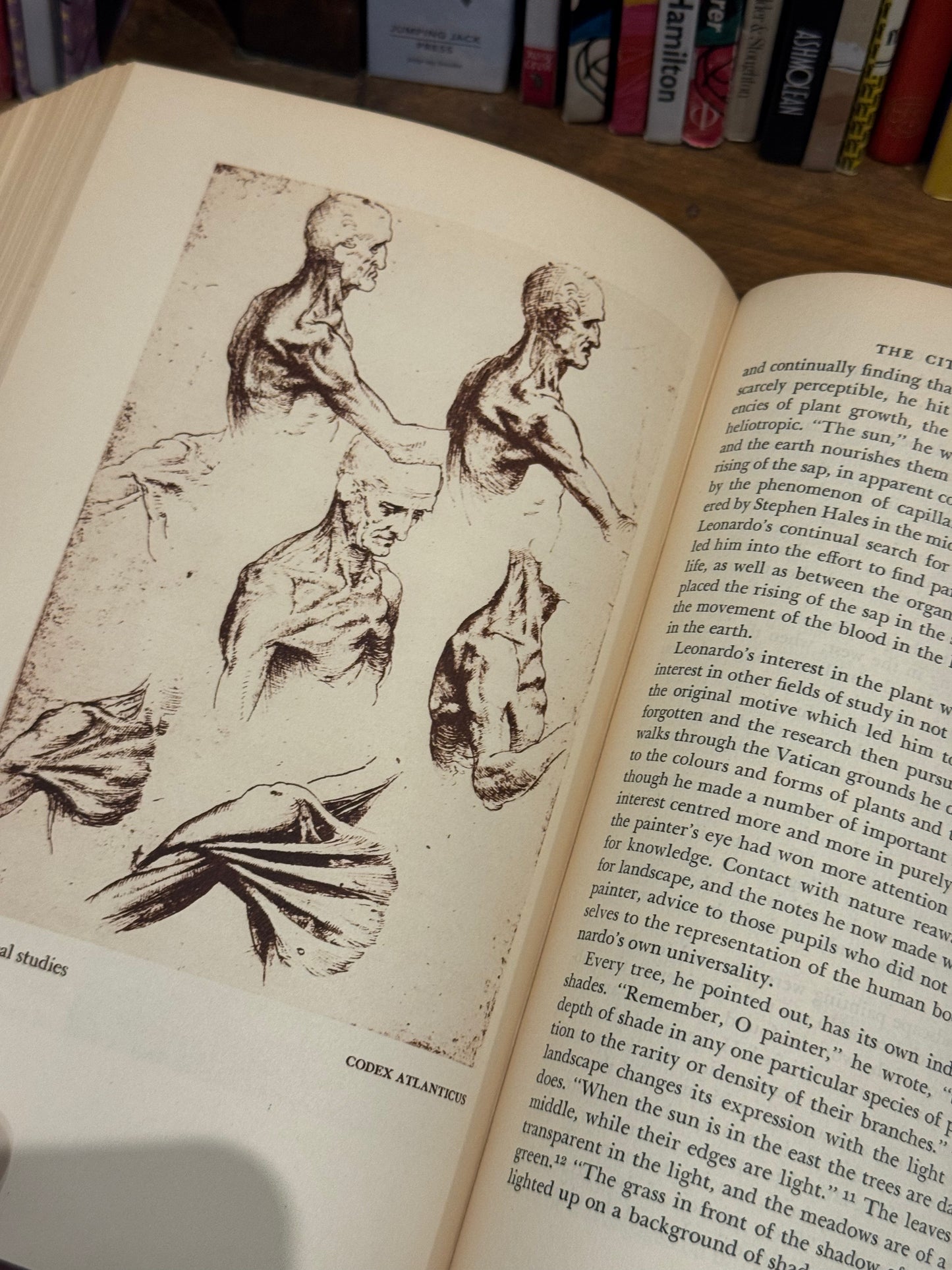 Leonardo Da Vinci: The Tragic Pursuit of Perfection – Antonia Vallentin