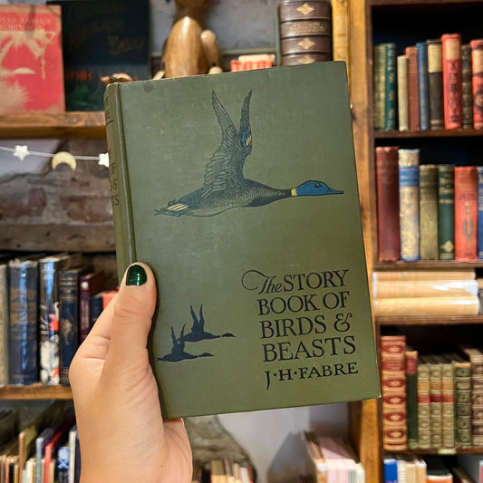 The Story Book of Birds & Beasts – J. H. Fabre
