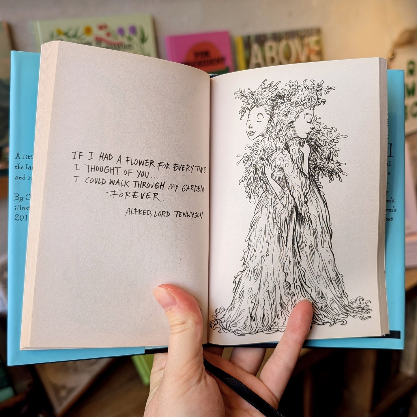 100 Hugs: A Book To Warm the Hearts of Those In Need of A Hug - Chris Riddell