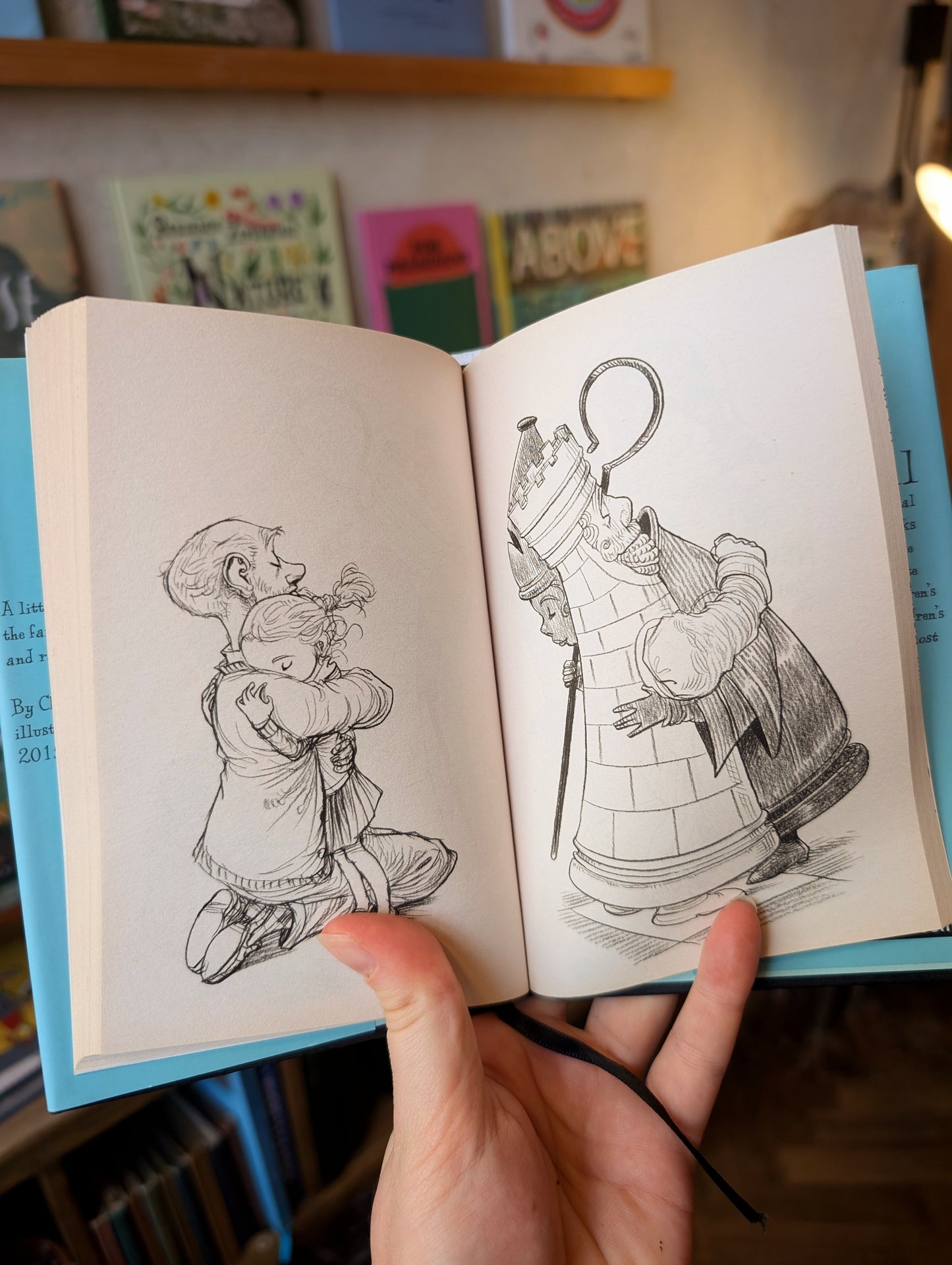 100 Hugs: A Book To Warm the Hearts of Those In Need of A Hug - Chris Riddell