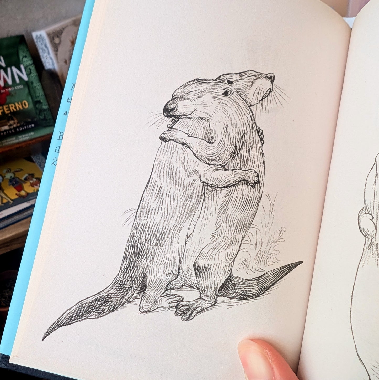 100 Hugs: A Book To Warm the Hearts of Those In Need of A Hug - Chris Riddell