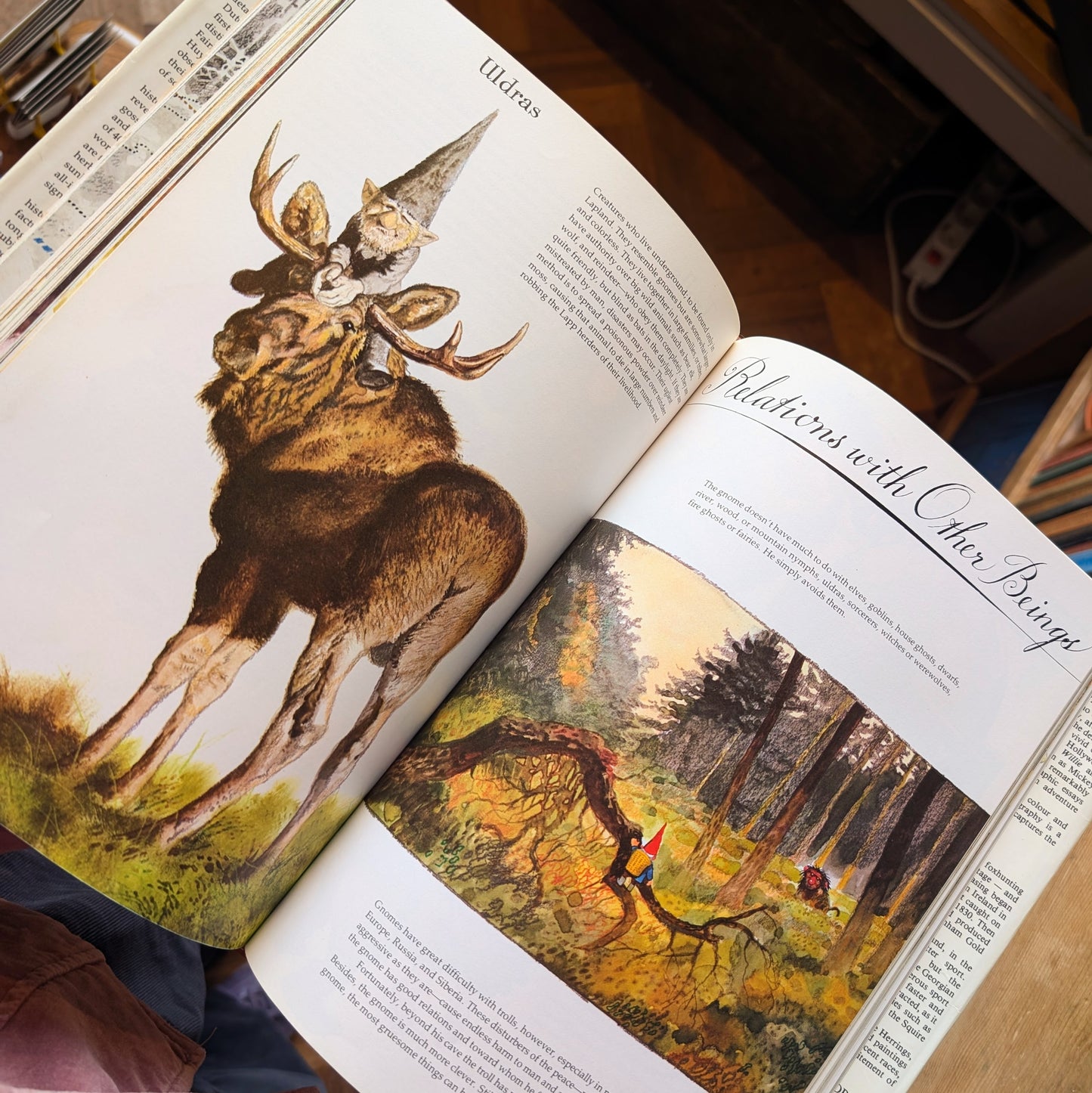 Gnomes (1977 First Edition) – Wil Huygen