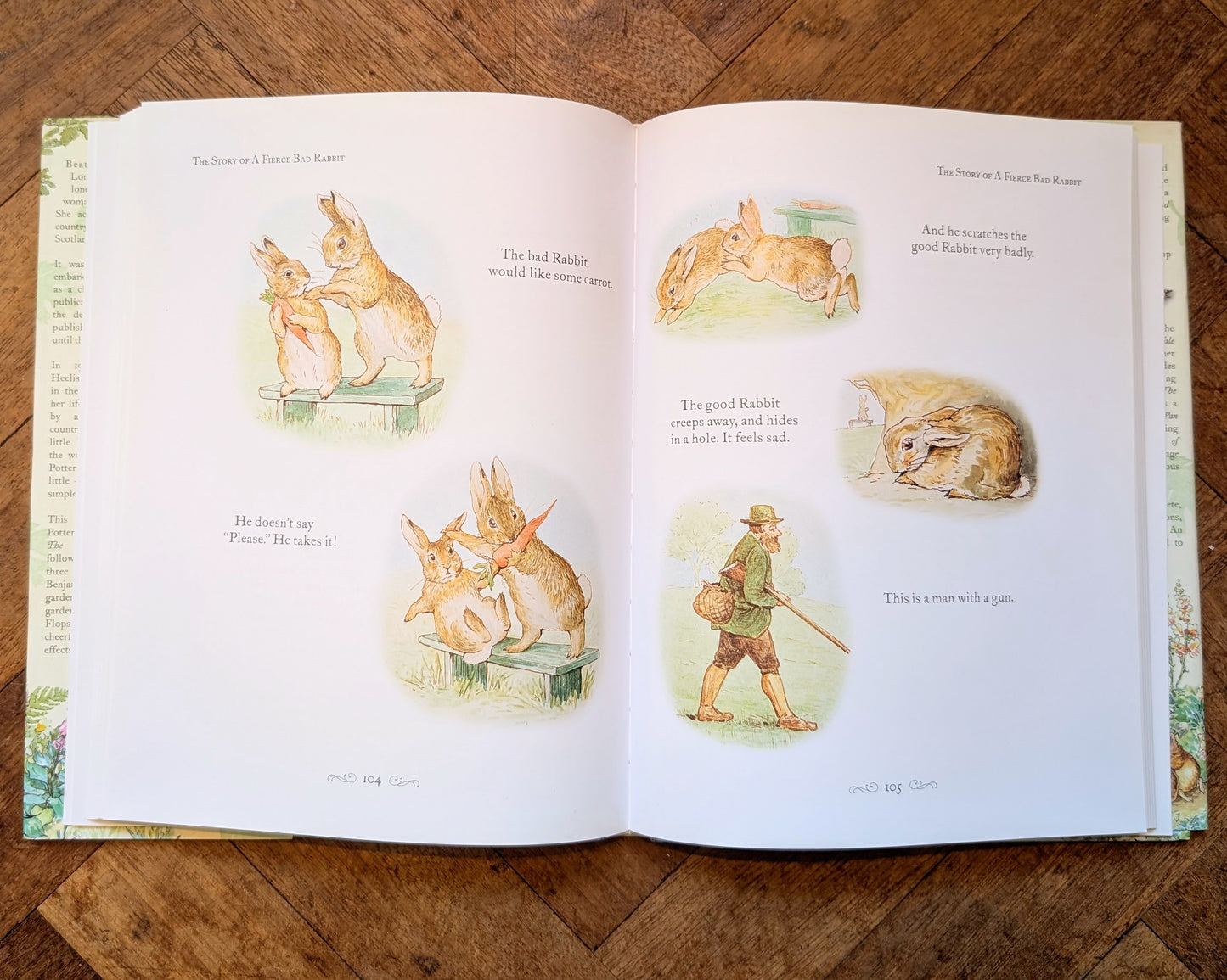 A Beatrix Potter Treasury – Beatrix Potter