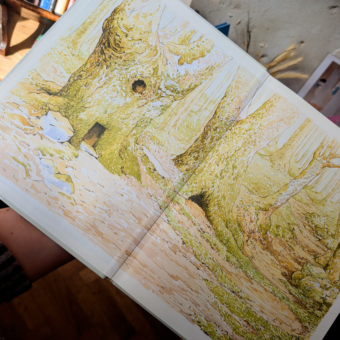 The Big Peter Rabbit Book –  Beatrix Potter