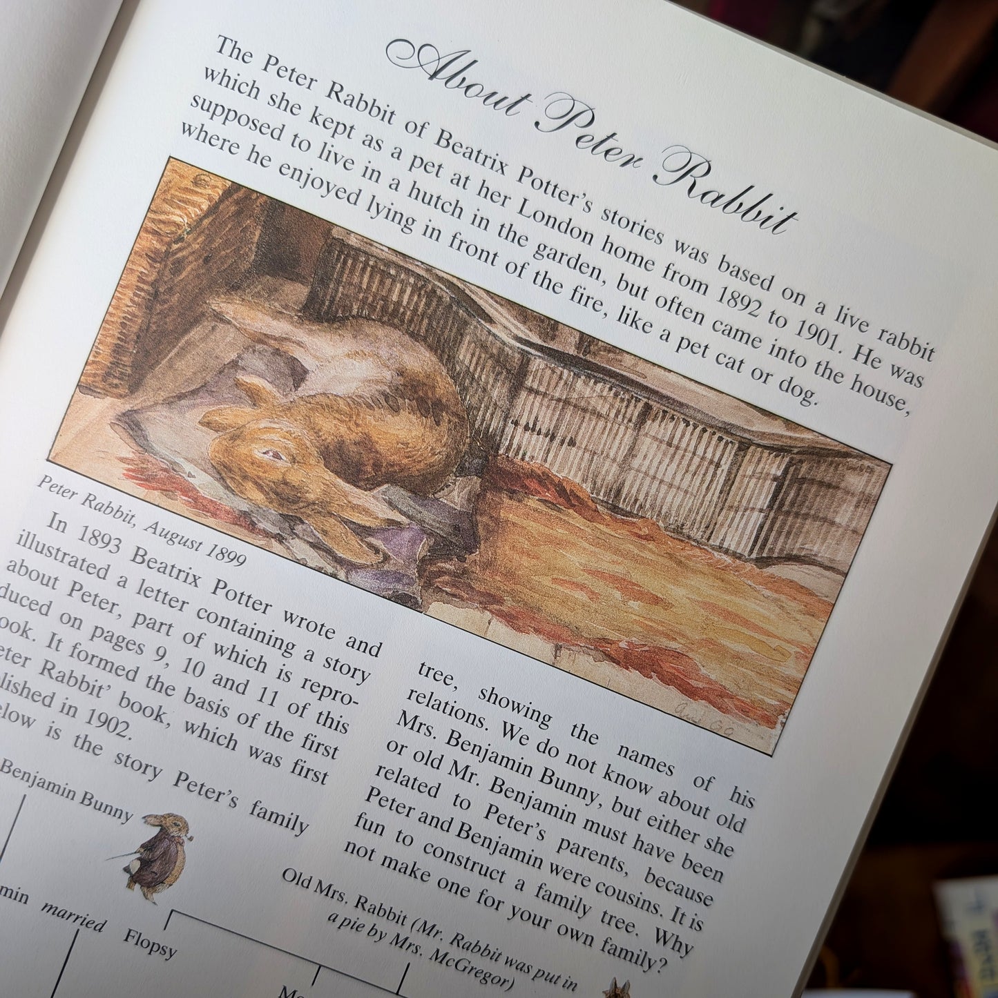 The Big Peter Rabbit Book –  Beatrix Potter