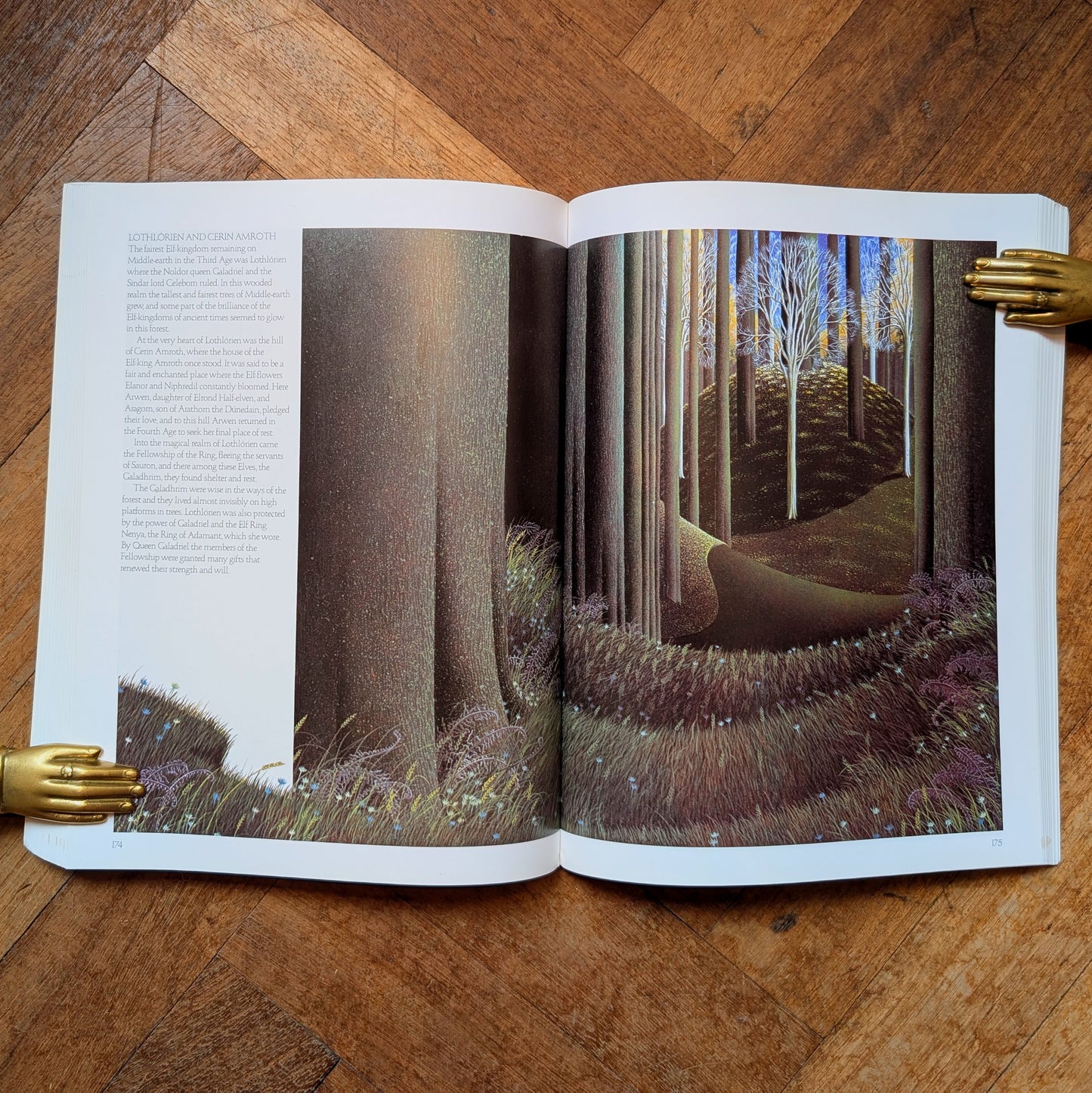 Characters From Tolkein – David Day