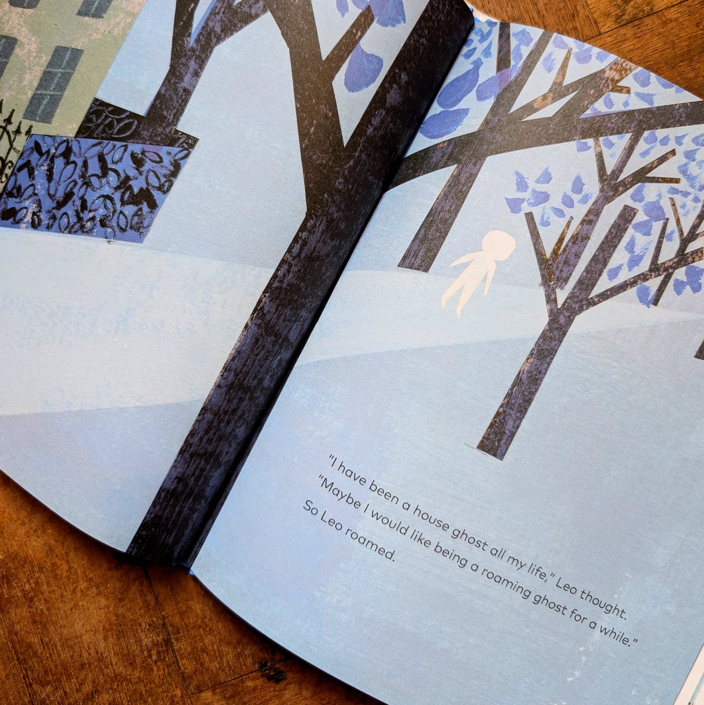 Leo - A Ghost Story – Mac Barnett