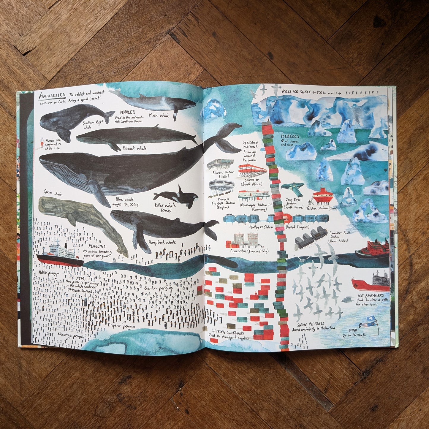 LOTS – Marc Martin