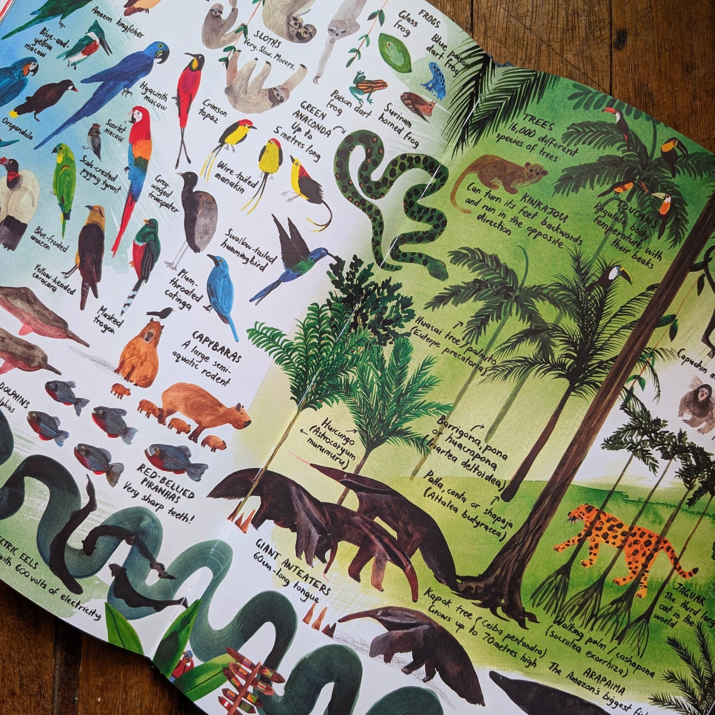 LOTS – Marc Martin