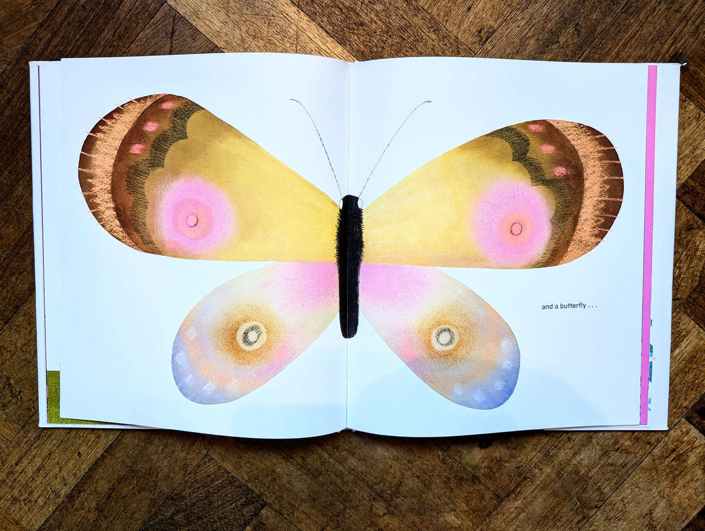 Time Is A Flower - Julie Morstad
