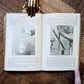 Marvels of Earth, Air, and Water – Gaston Tissandier & Henry Frith