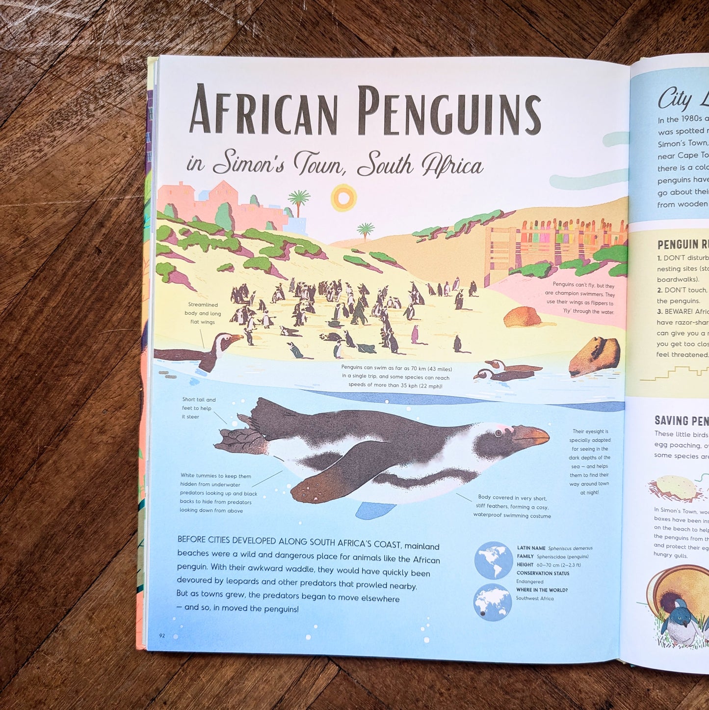 Wild in the City: A Guide to Urban Animals Around the World – Kate Baker and Gianluca Foli