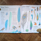 Wild in the City: A Guide to Urban Animals Around the World – Kate Baker and Gianluca Foli