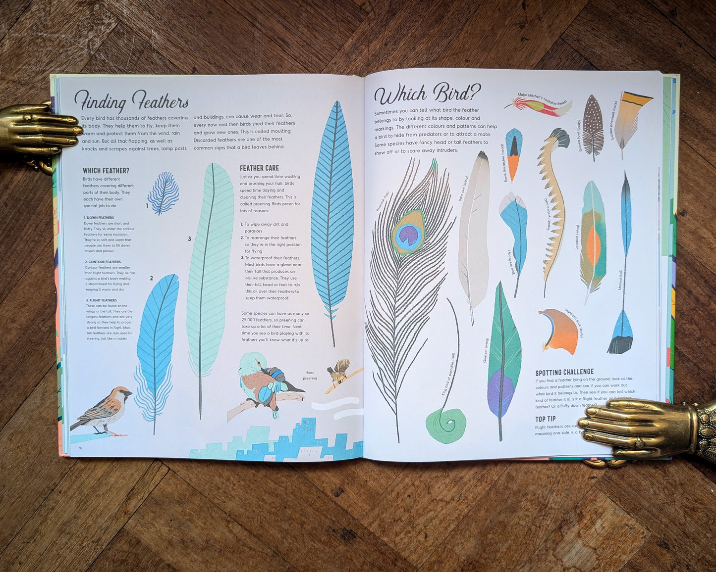Wild in the City: A Guide to Urban Animals Around the World – Kate Baker and Gianluca Foli