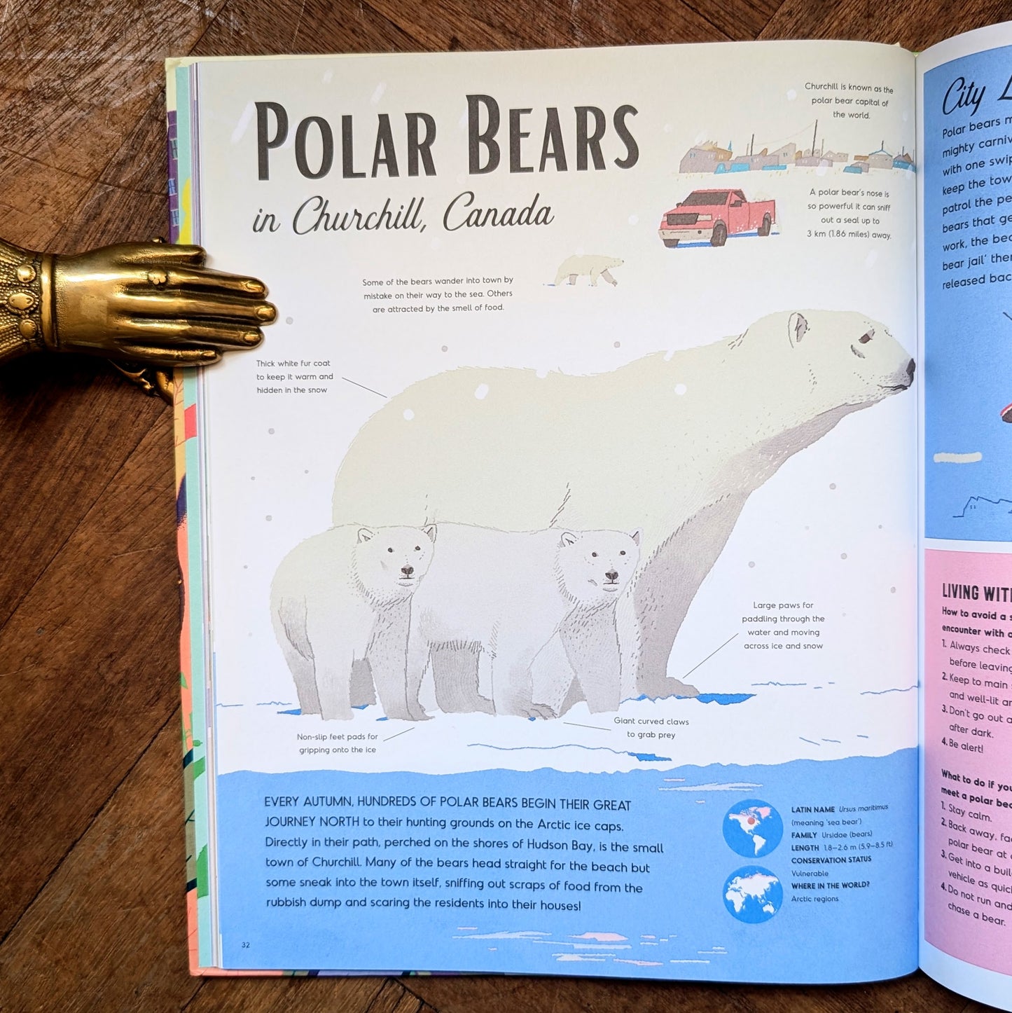 Wild in the City: A Guide to Urban Animals Around the World – Kate Baker and Gianluca Foli