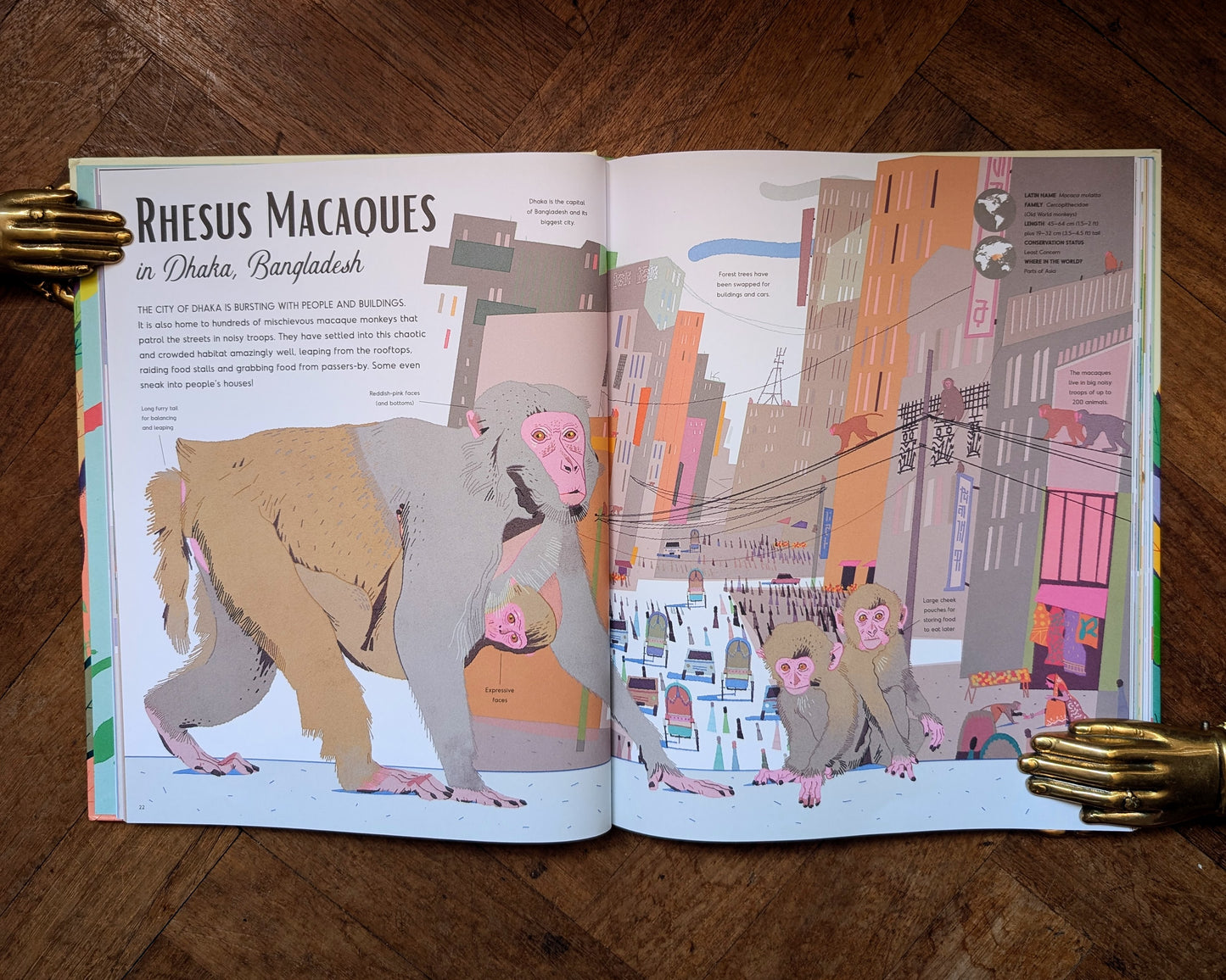 Wild in the City: A Guide to Urban Animals Around the World – Kate Baker and Gianluca Foli