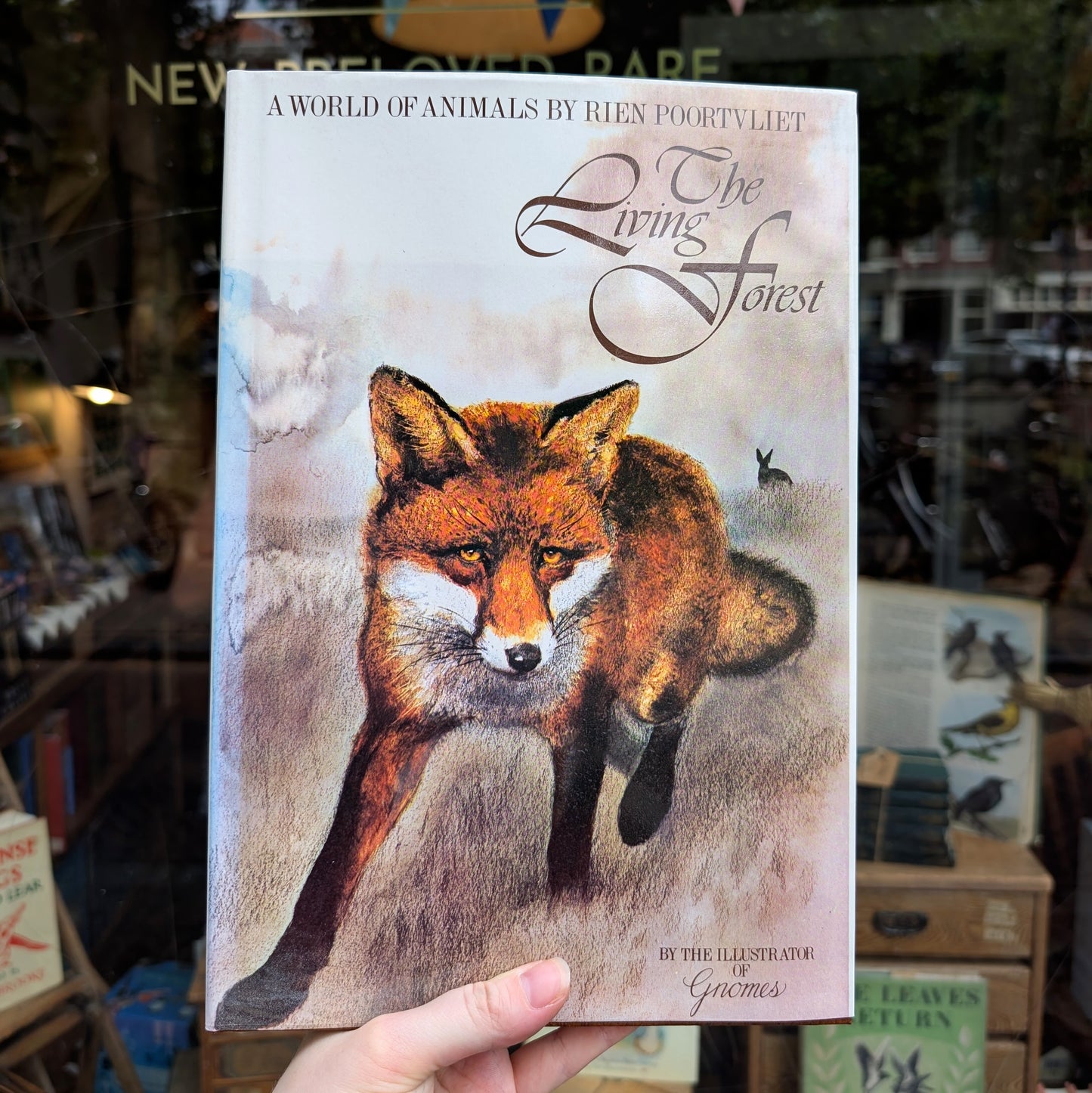 The Living Forest (First Edition) – Rien Poortvliet