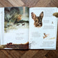 The Living Forest (First Edition) – Rien Poortvliet