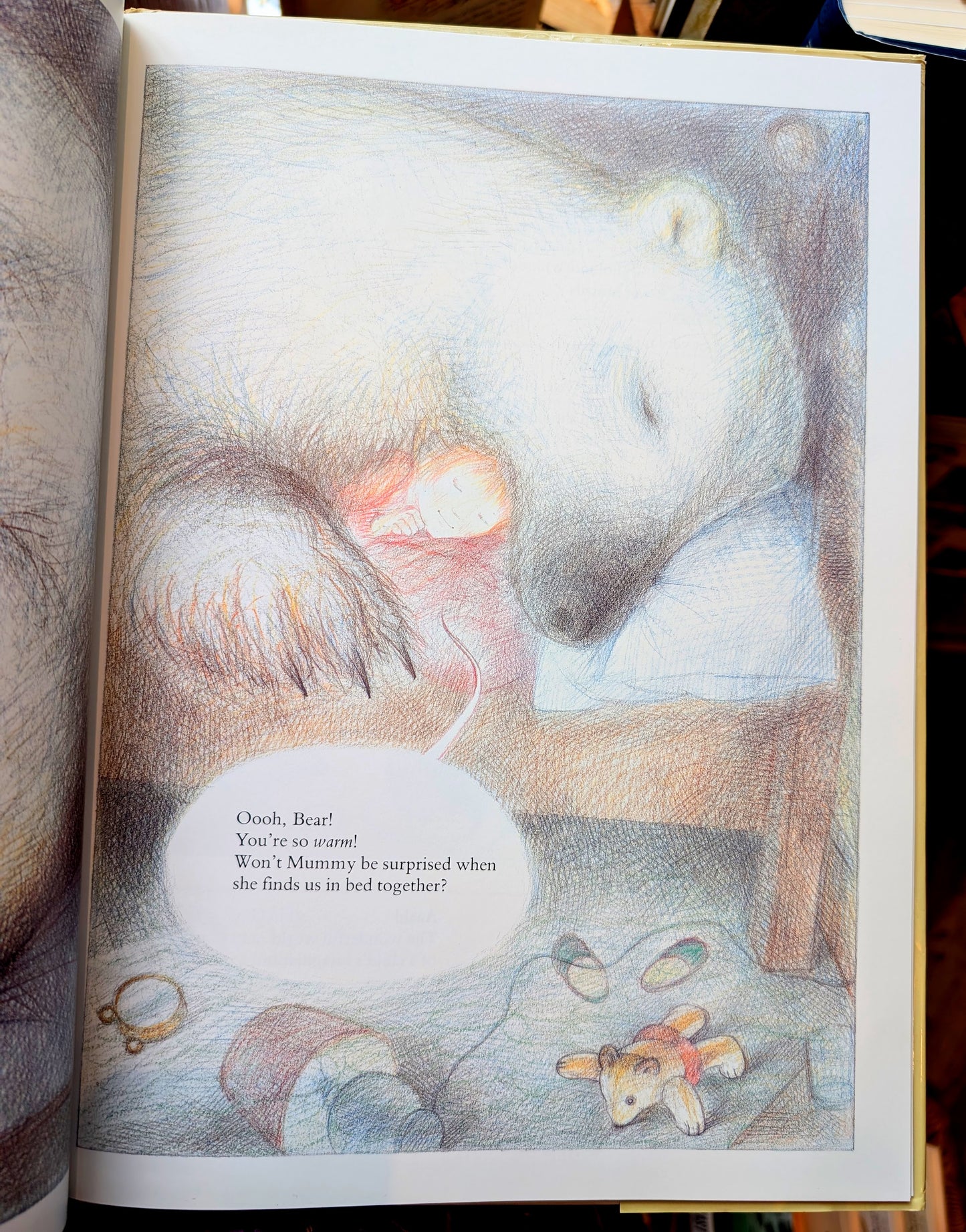 The Bear – Raymond Briggs