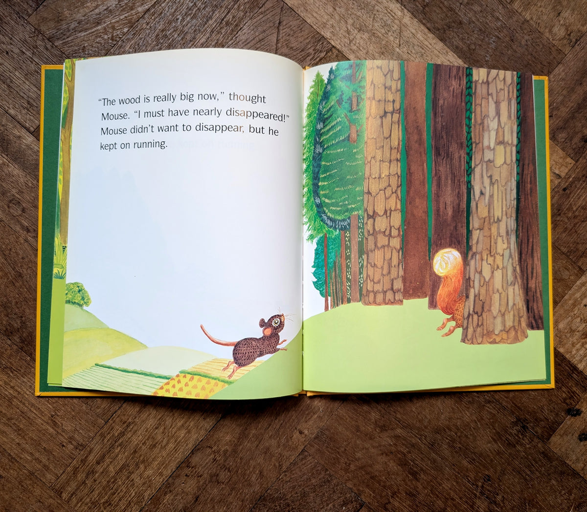 Shrinking Mouse (First Edition) – Pat Hutchins