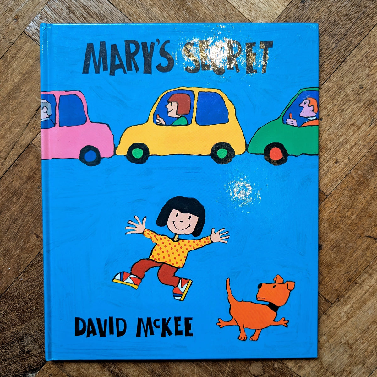Mary's Secret (First Edition) – David McKee