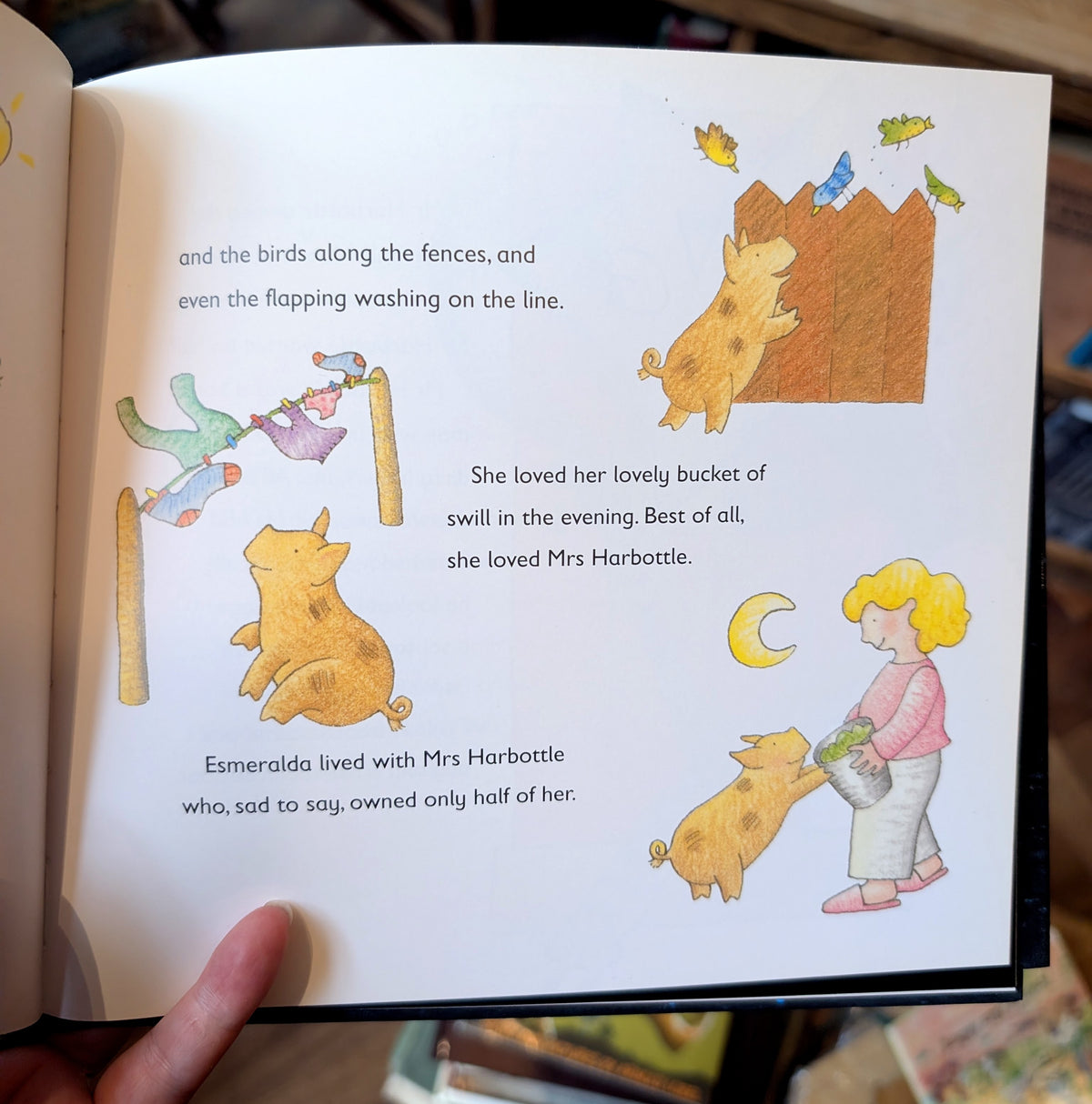 Half a Pig (First Edition) –  Allan Ahlberg