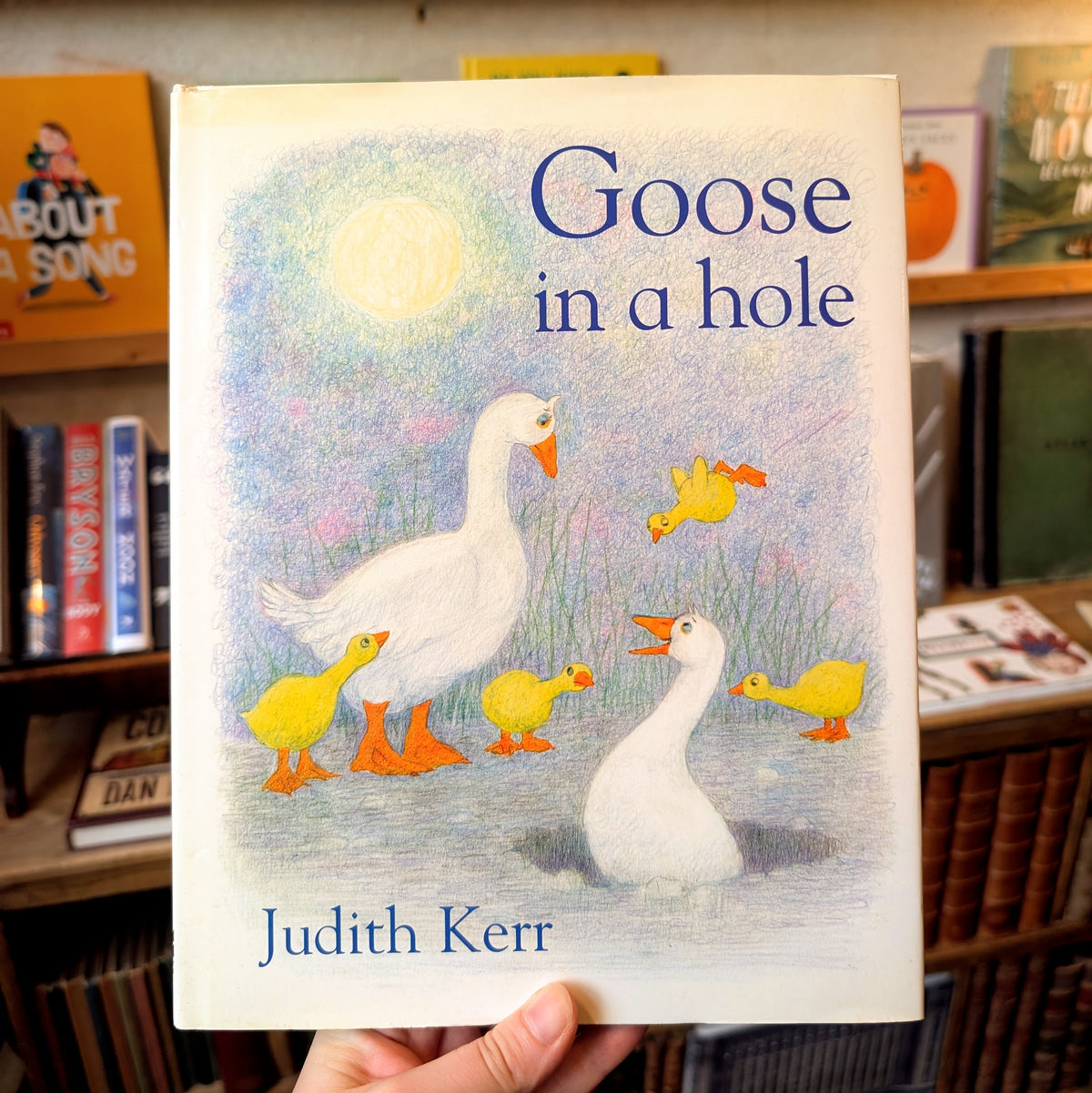 Goose in a Hole (First Edition) – Judith Kerr