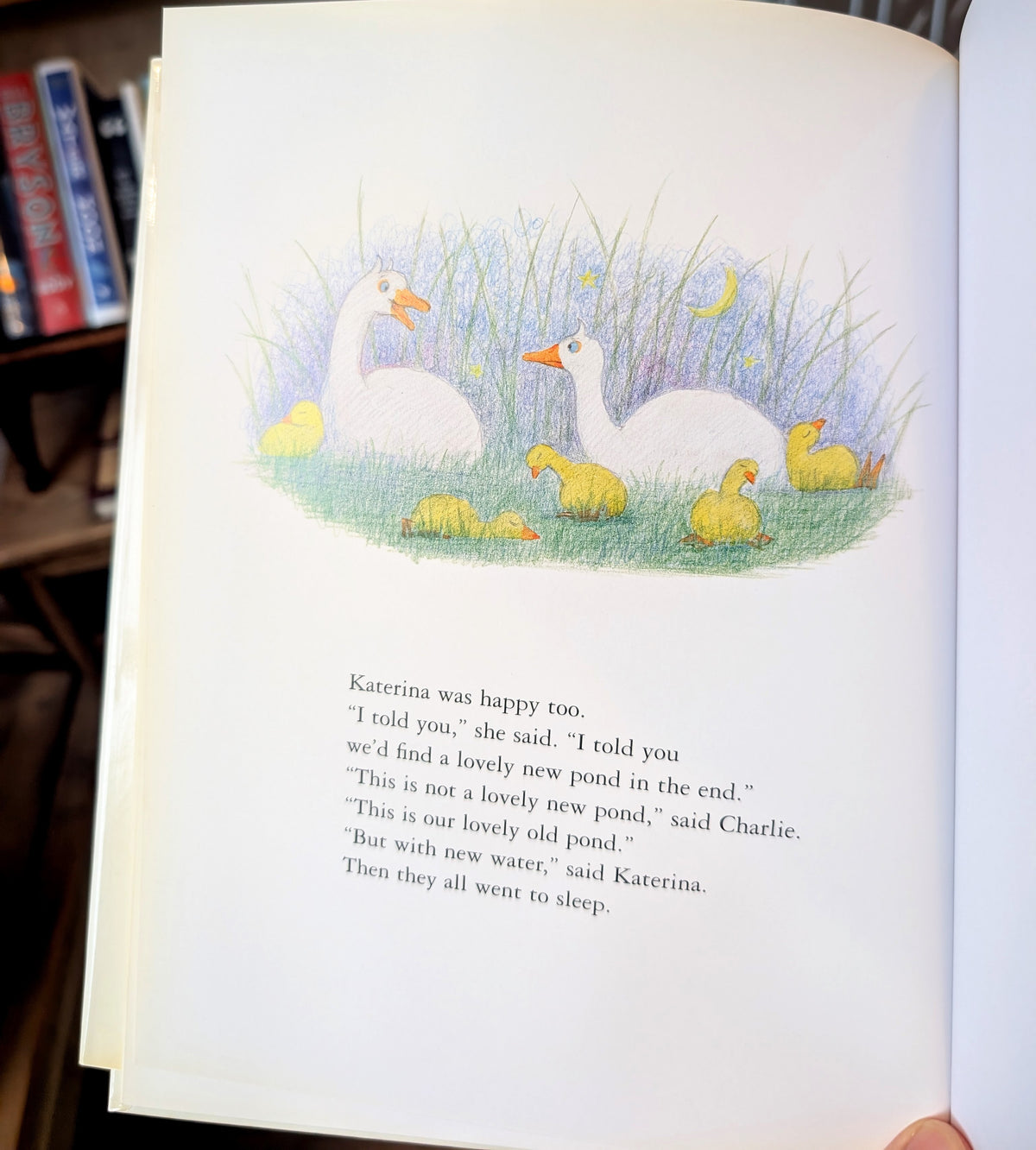 Goose in a Hole (First Edition) – Judith Kerr