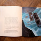 Fog Island (2013 First Edition) – Tomi Ungerer