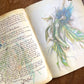 Lady Cottington's Pressed Fairy Book —– Terry Jones, Brian Froud