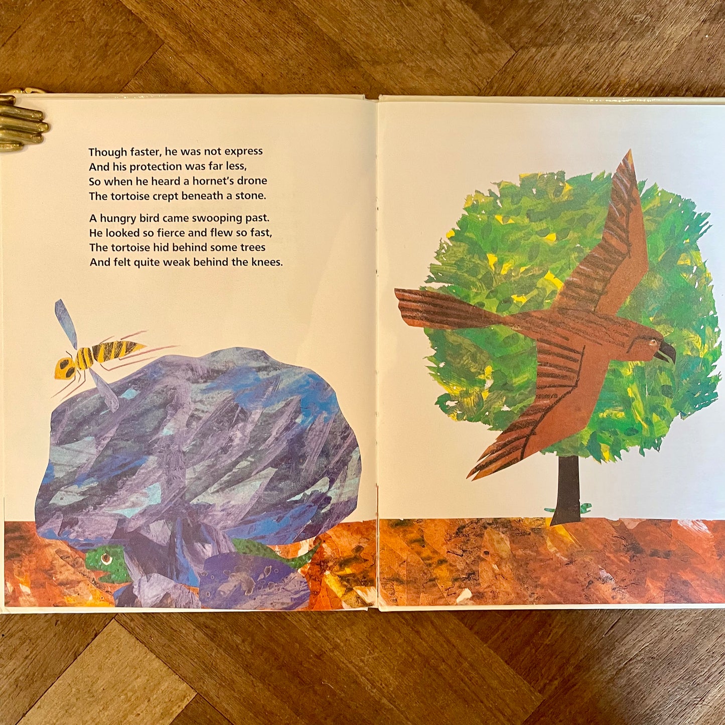 The Greedy Python and The Foolish Tortoise (First Edition, Signed by Author) – Richard Buckley, Eric Carle