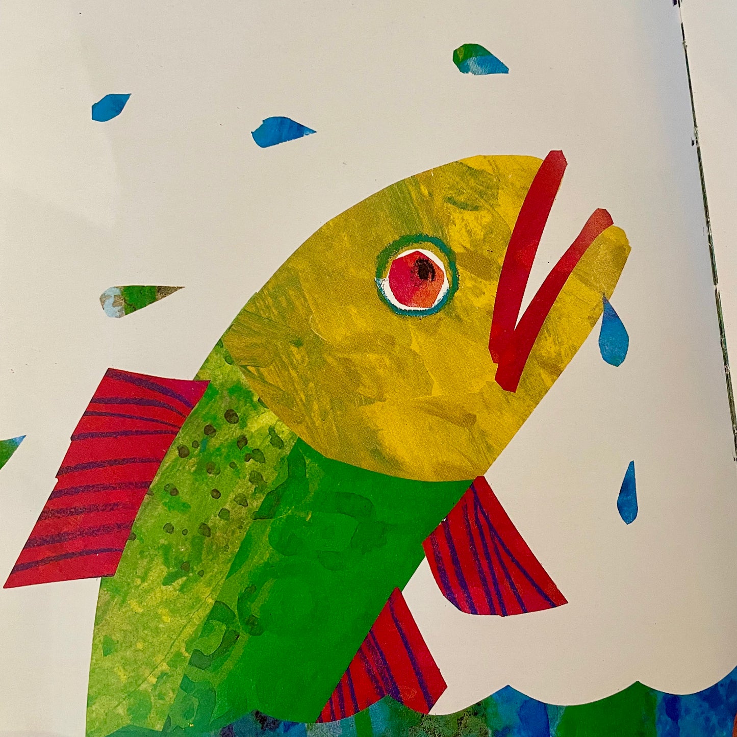 The Greedy Python and The Foolish Tortoise (First Edition, Signed by Author) – Richard Buckley, Eric Carle