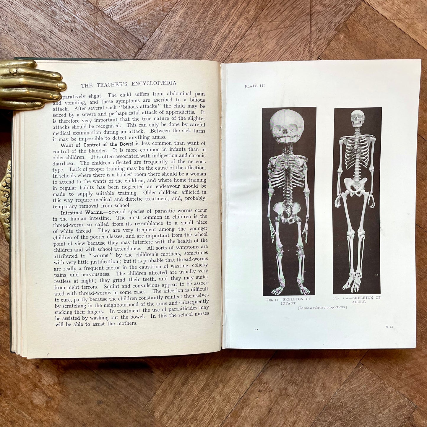 The Teacher's Encyclopaedia – Ed. A.P. Laurie