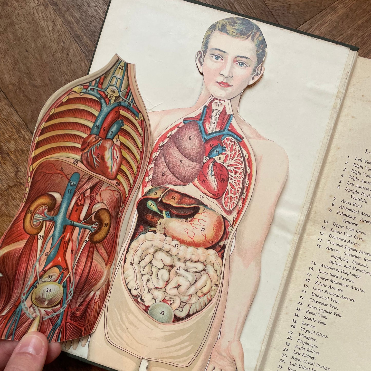 The Teacher's Encyclopaedia – Ed. A.P. Laurie