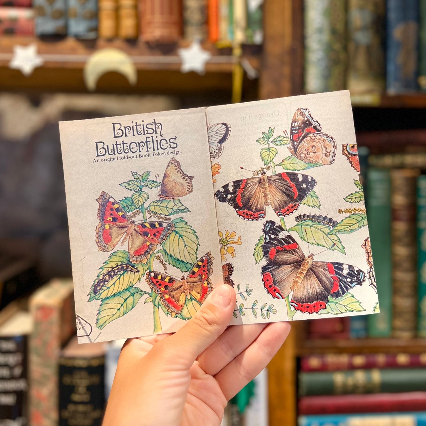 British Butterflies – E.B. Ford