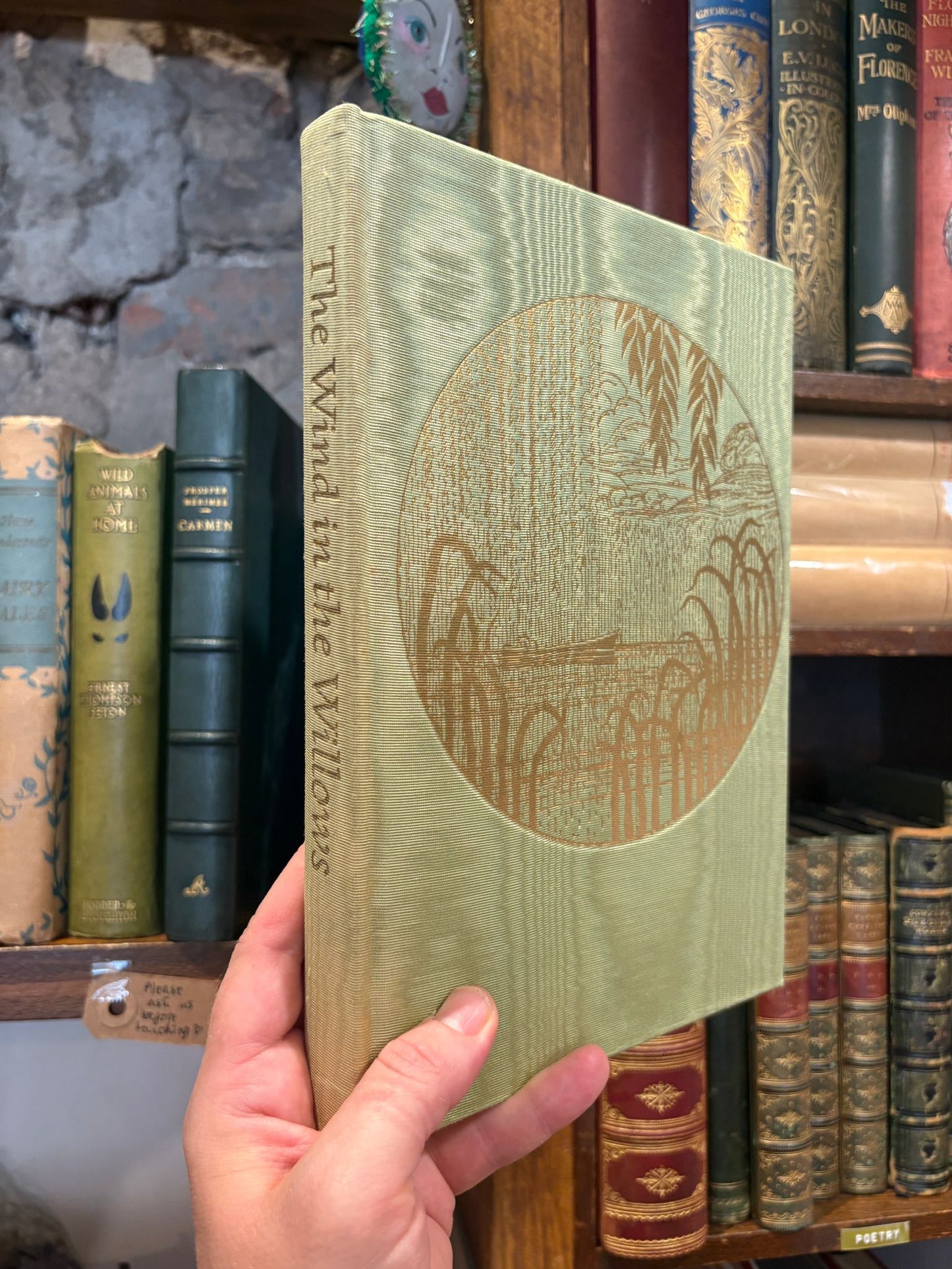 The Wind in the Willows -  Kenneth Grahame, James Lynch