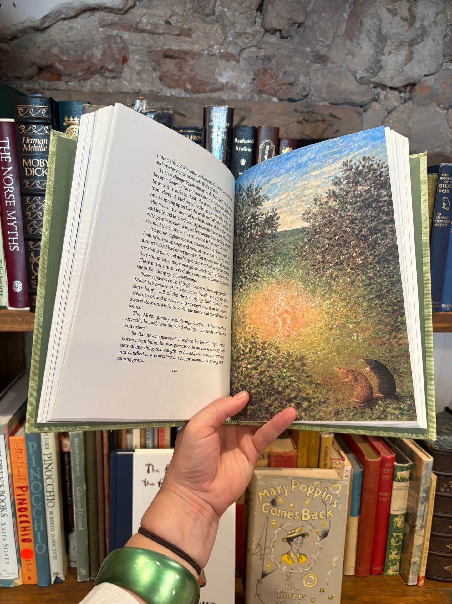 The Wind in the Willows -  Kenneth Grahame, James Lynch