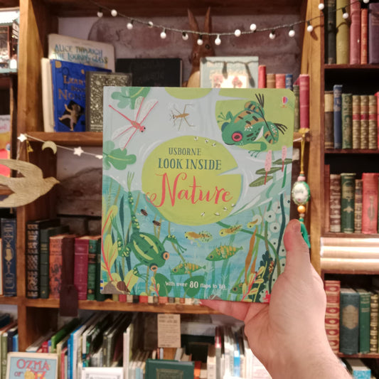 Look Inside Nature with over 80 flaps to lift (Board Boook) – Usborne