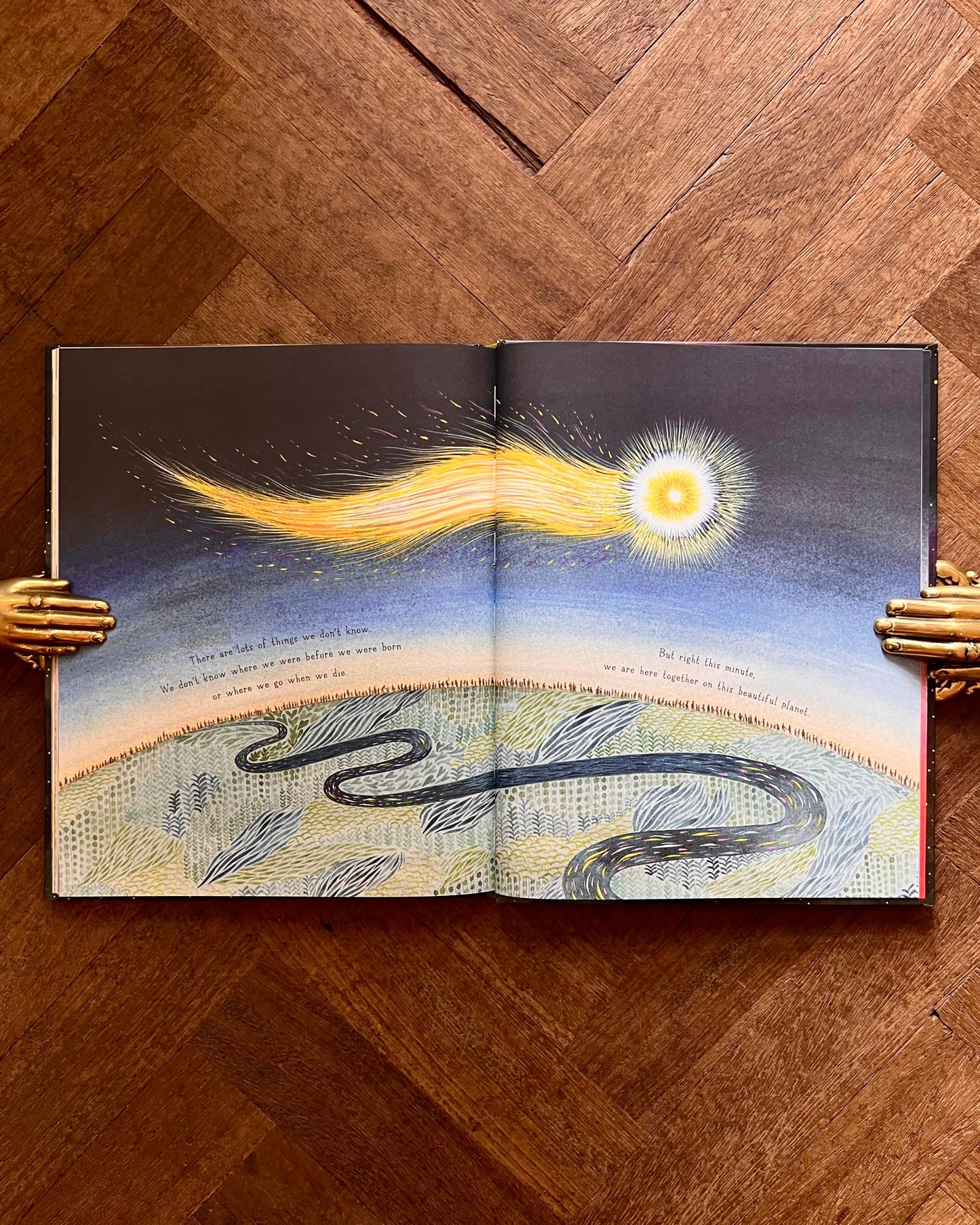 If You Come to Earth – Sophie Blackall
