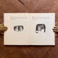 Two From A Teapot (1967 First Edition) – Racey Helps