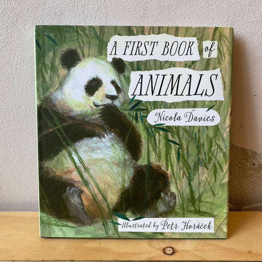 A First Book of Animals – Nicola Davies, Petr Horacek