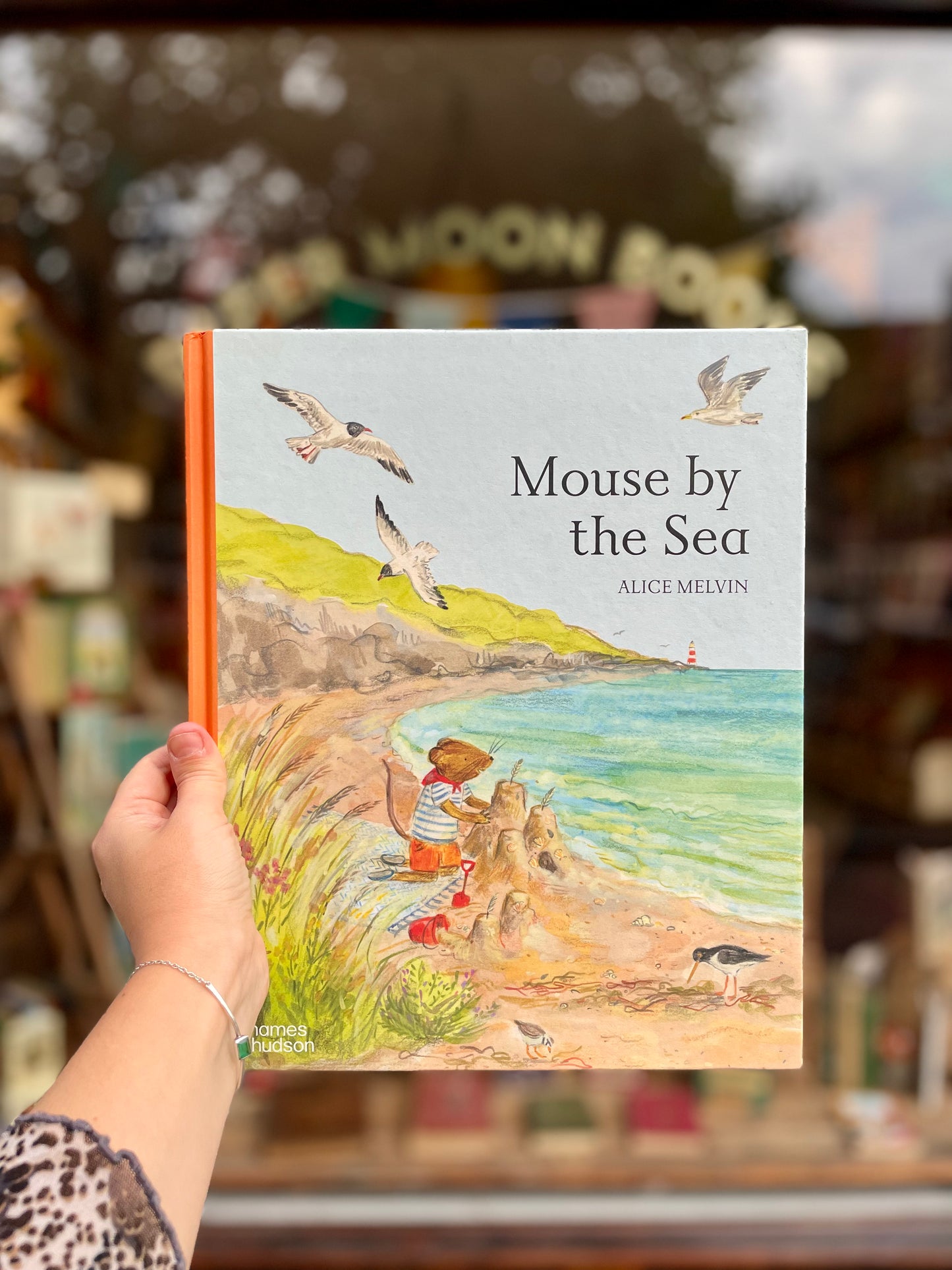 Mouse by the Sea  – Alice Melvin, William Snow