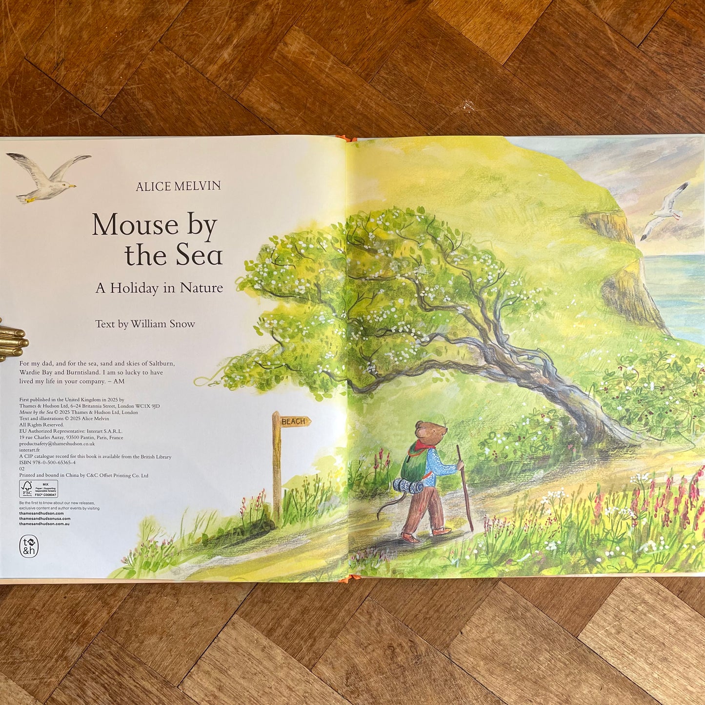 Mouse by the Sea  – Alice Melvin, William Snow