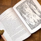 The Hobbit – J.R.R Tolkien, Tove Jansson