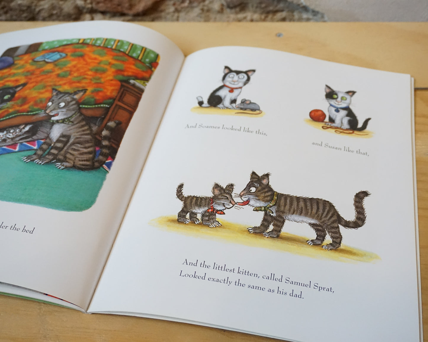 Tabby McTat - Julia Donaldson, Axel Scheffler