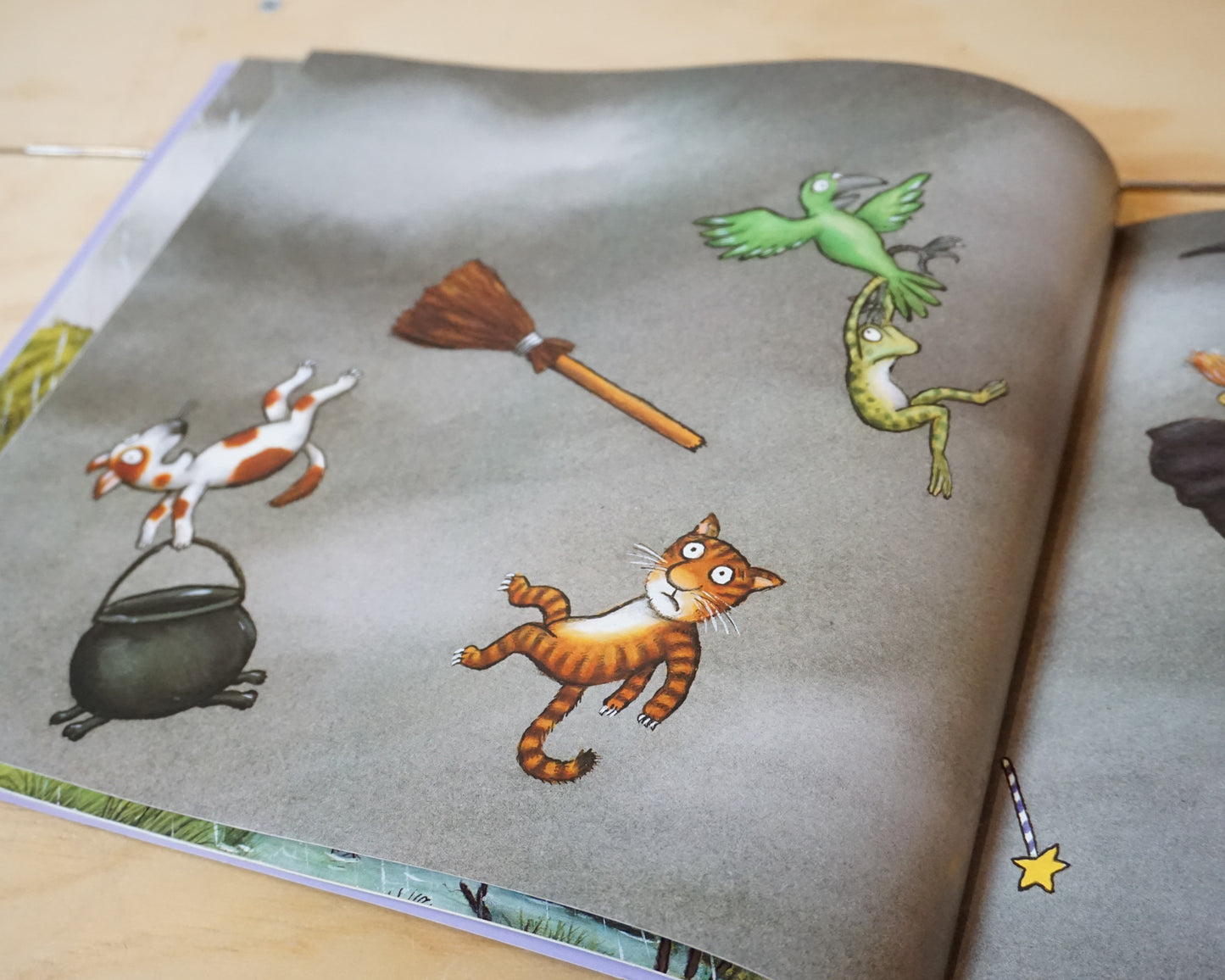 Room on the Broom – Julia Donaldson, Axel Scheffler