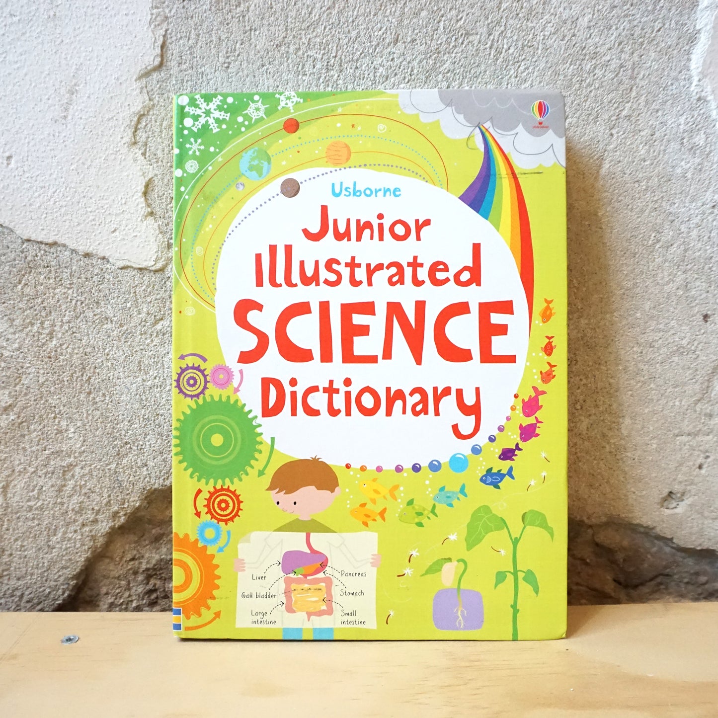 Usborne Junior Illustrated Science Dictionary - Sarah Khan, Michael Hill