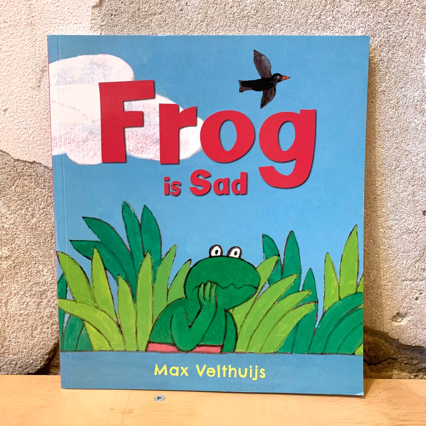 Frog is Sad – Max Velthuijs
