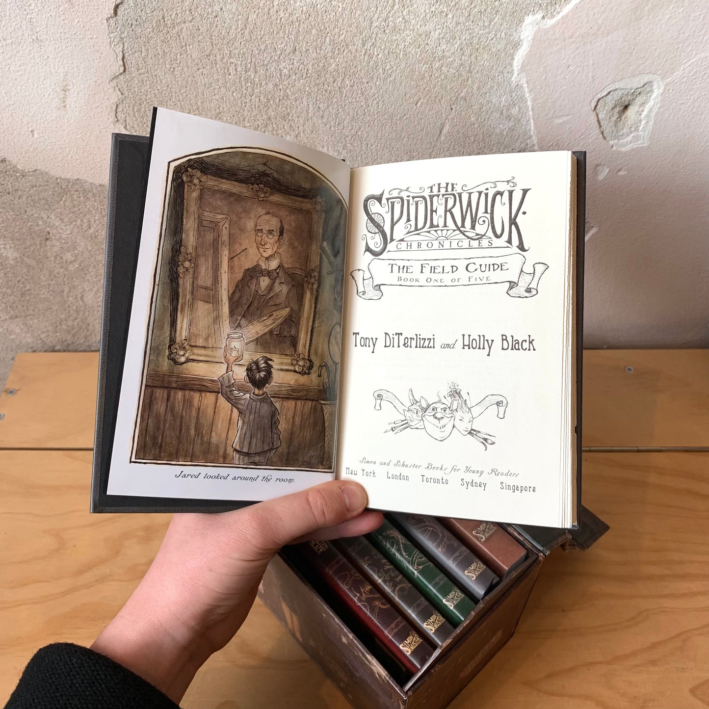 The Spiderwick Chronicles Deluxe Collector's Trunk - Tony DiTerlizzi, Holly Black